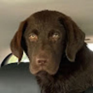 Meet your Posher, Bridget